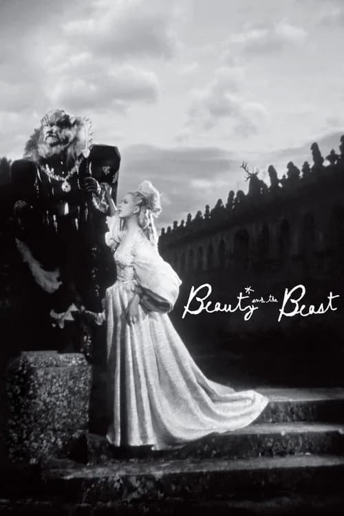 Beauty and the Beast—DVD