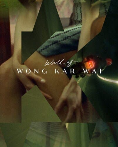 World of Wong Kar-Wai—World of Wong Kar-Wai